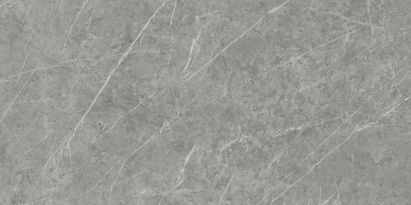 MARBLE VISION Grigio Chiaro 60x120
