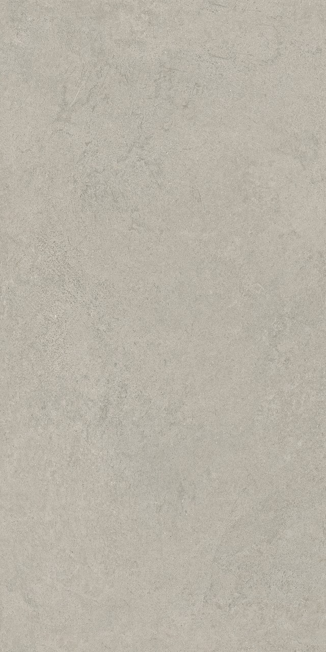 Rinascente Fusion Cenere 60x120