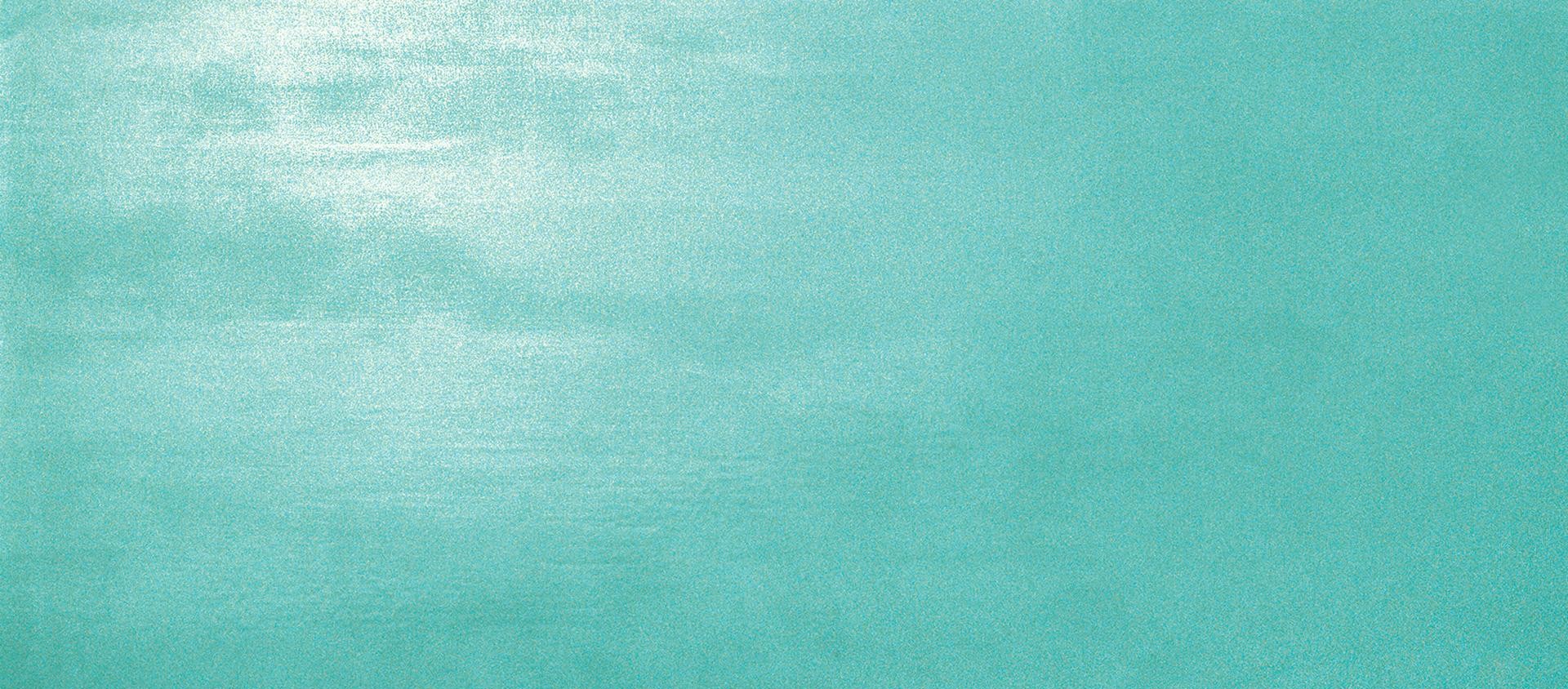AtlasConcorde Dwell Turquoise 50X110 Matte 4D1T