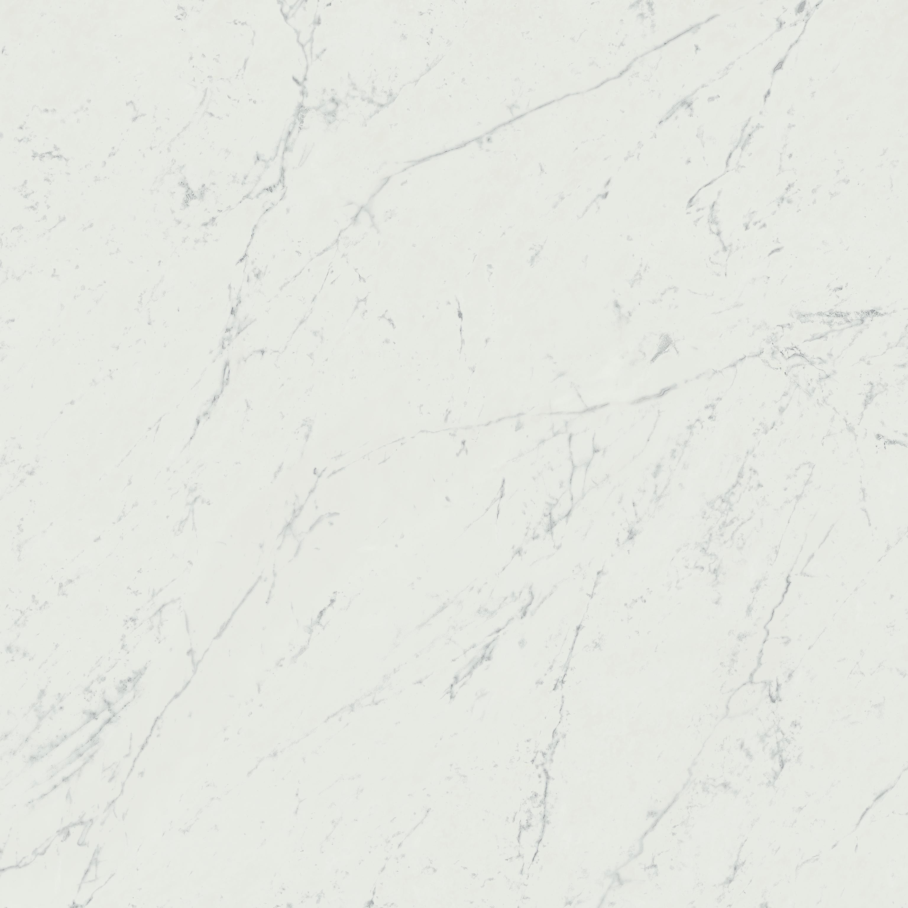 AtlasConcorde MarvelStone Carrara-Pure 120x120 Matte A207 12