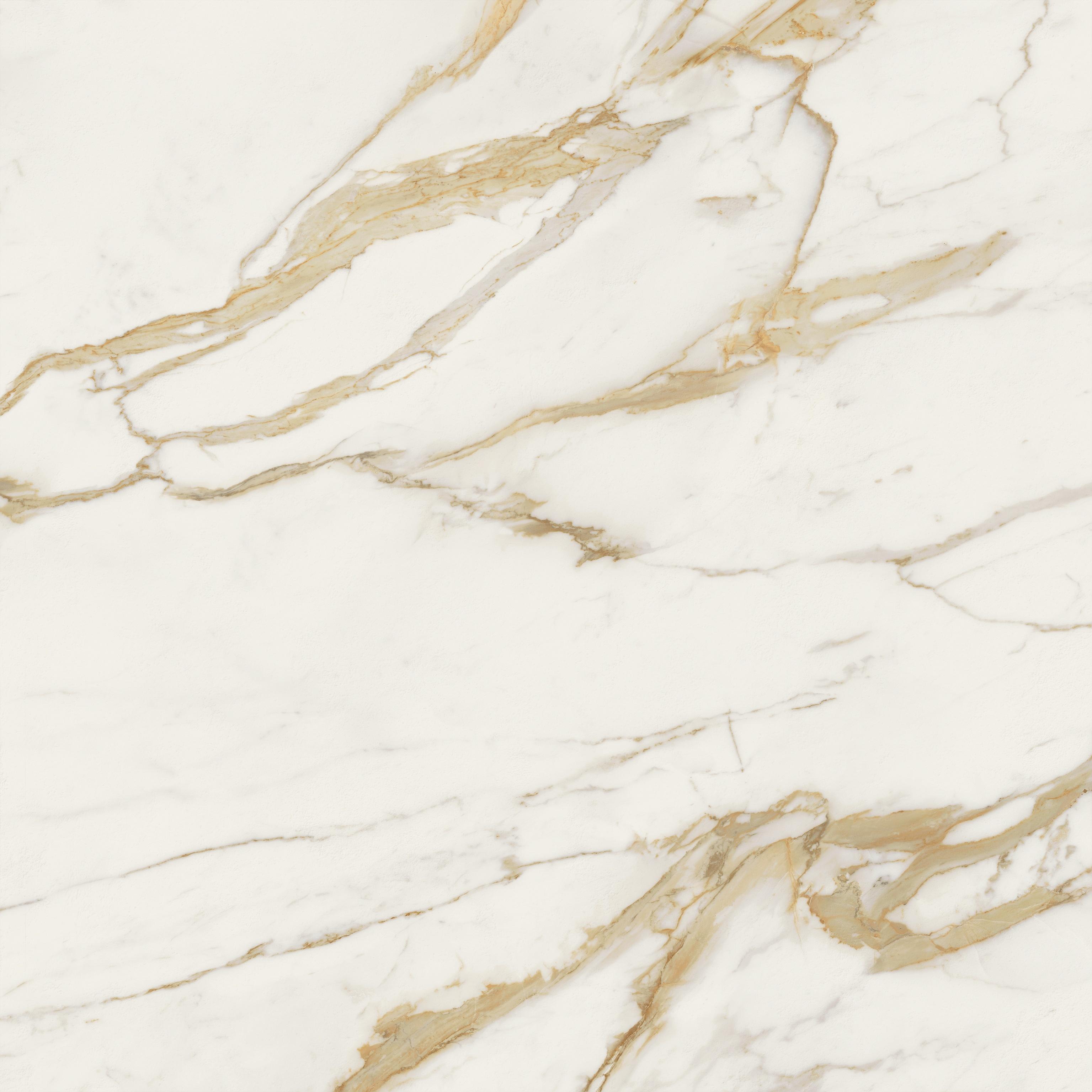 Marvel Next Calacatta Oro 120x120 Matte Sensitech, White, 120x120
