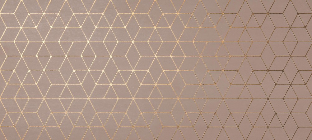 AtlasConcorde Mek Rose Hexagon 50x110 4MHO R