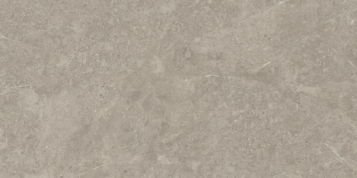 DUOLITH FOSSIL 60x120  