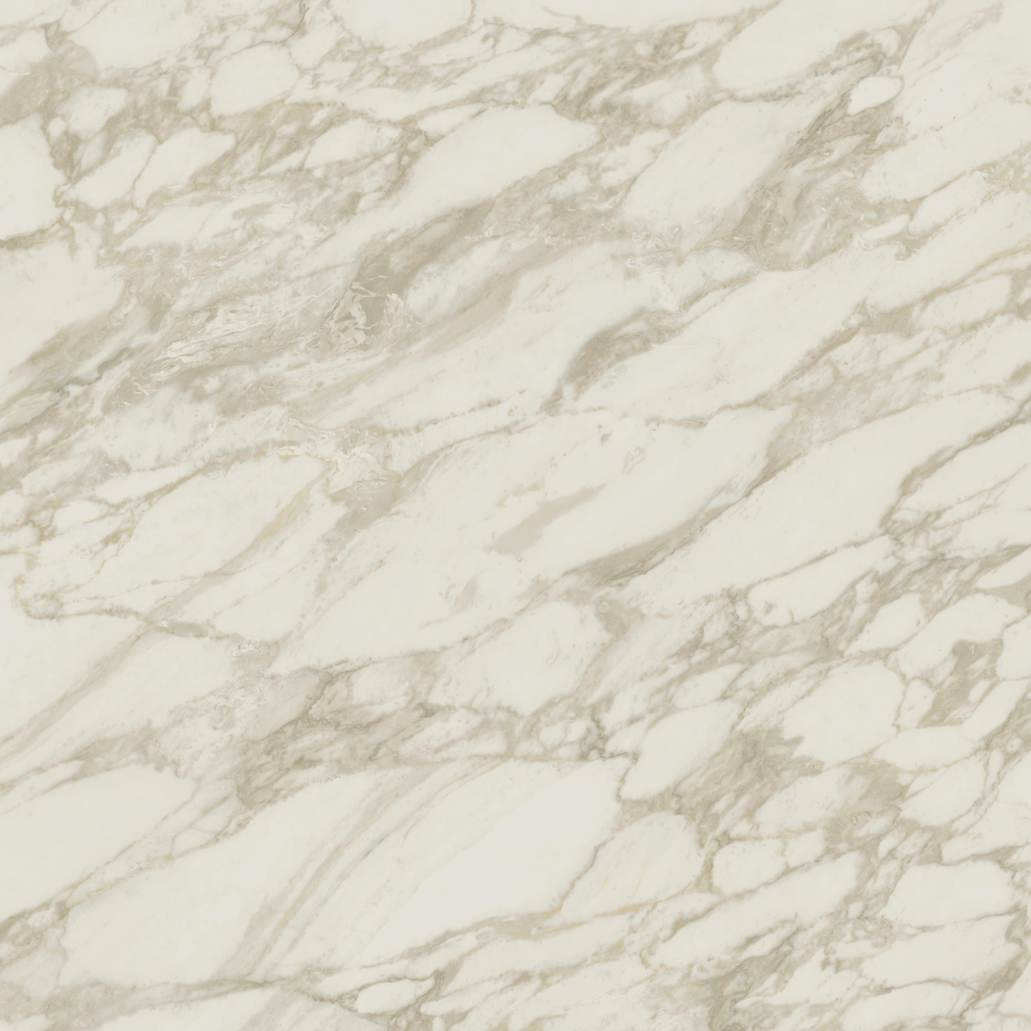 Marvel Edge Marvel Royal Calacatta 120x120 Lappato Porcelain Tiles Atlas Concorde