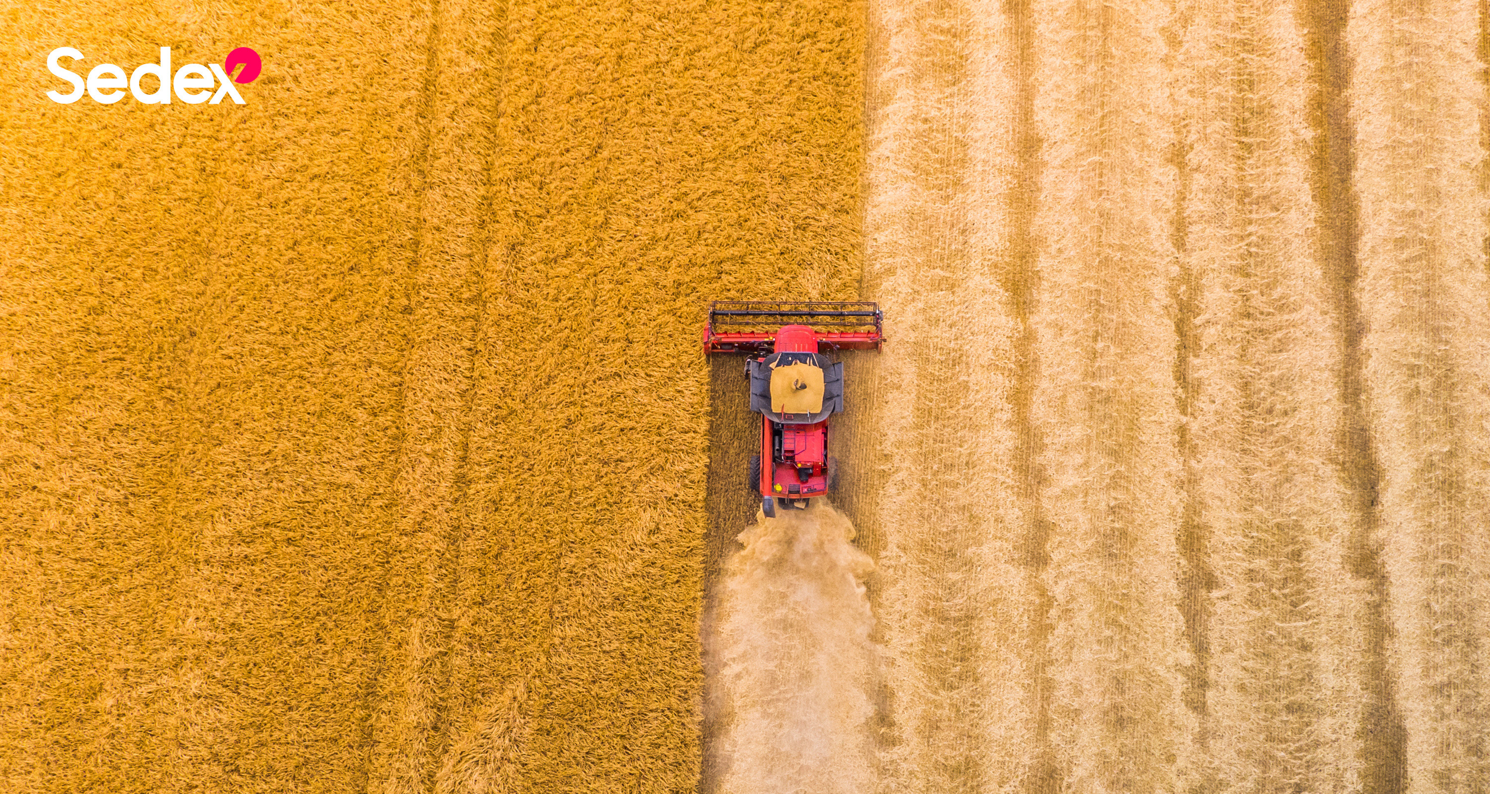 Sedex Member Aerial Photo 5