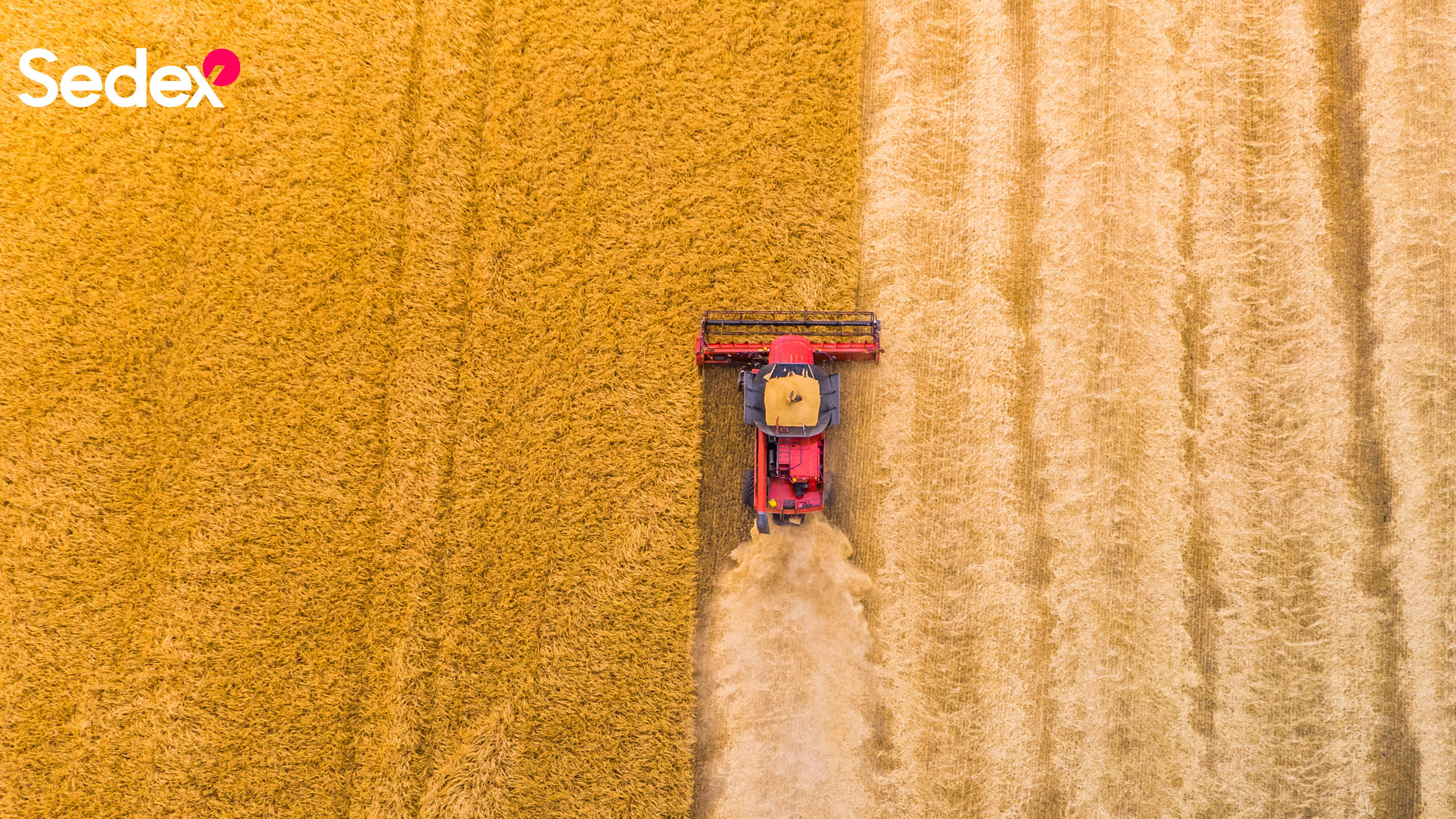 Sedex Member Aerial Photo 5