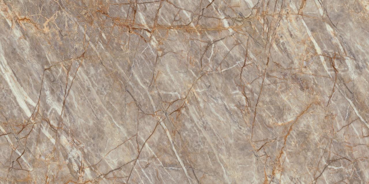 Natural Roots Polished 160x320 - 6mm Endless