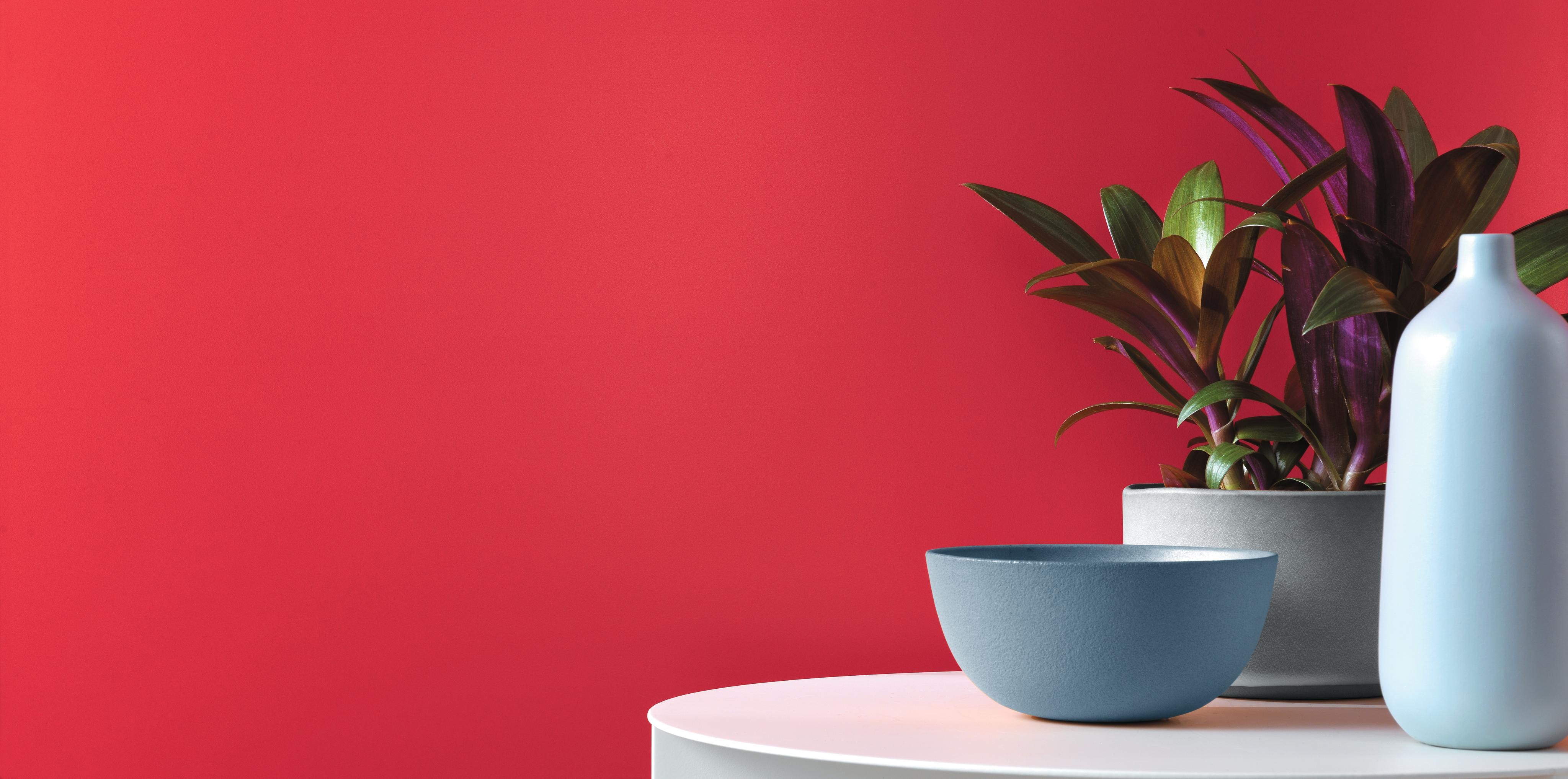Red 40x80