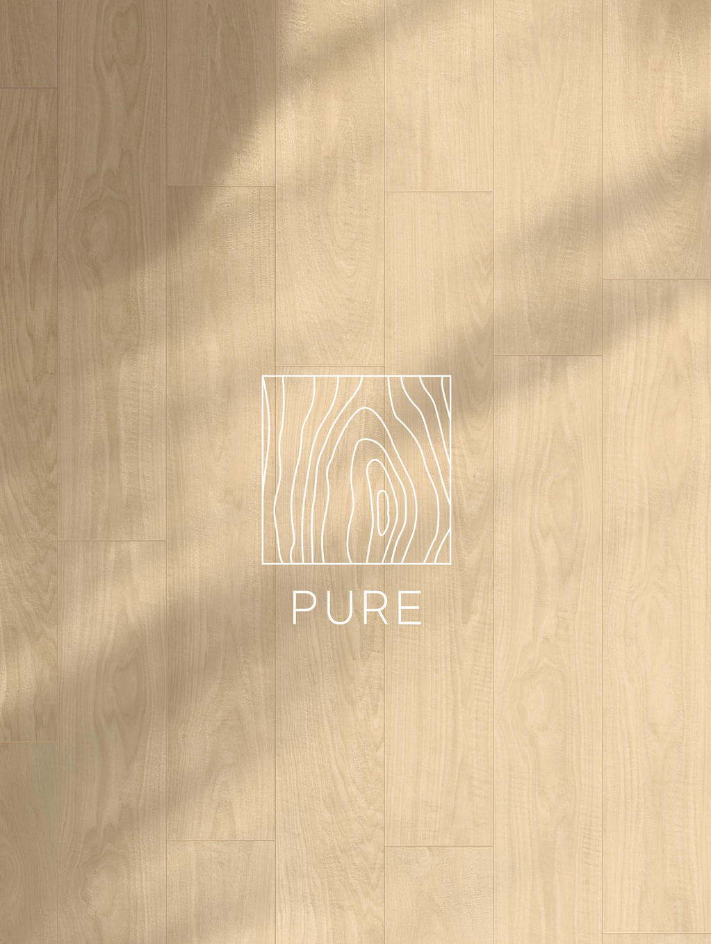 AC_LOG_STRUCTURE_IMAGE_WEB_PURE_notext_300ppi