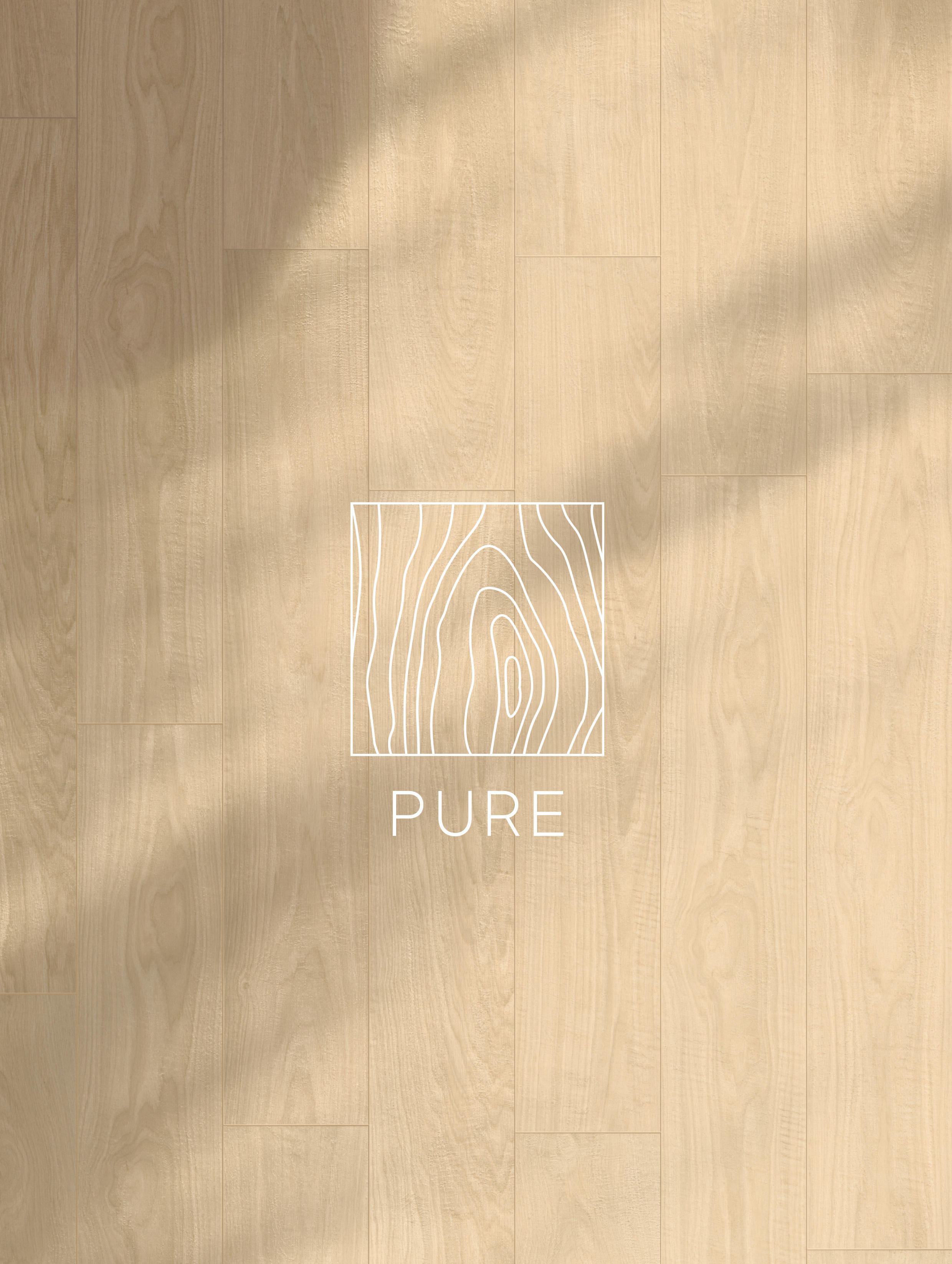 AC_LOG_STRUCTURE_IMAGE_WEB_PURE_notext_300ppi