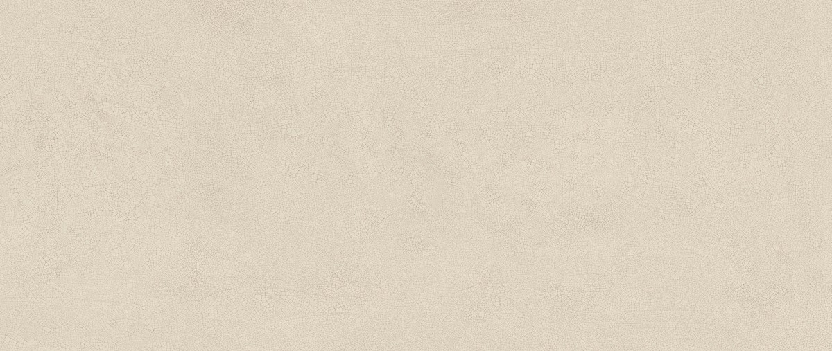 Vivia Crelis Shell 50x120 Lucido 
