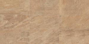 REGENT Gold 30x60