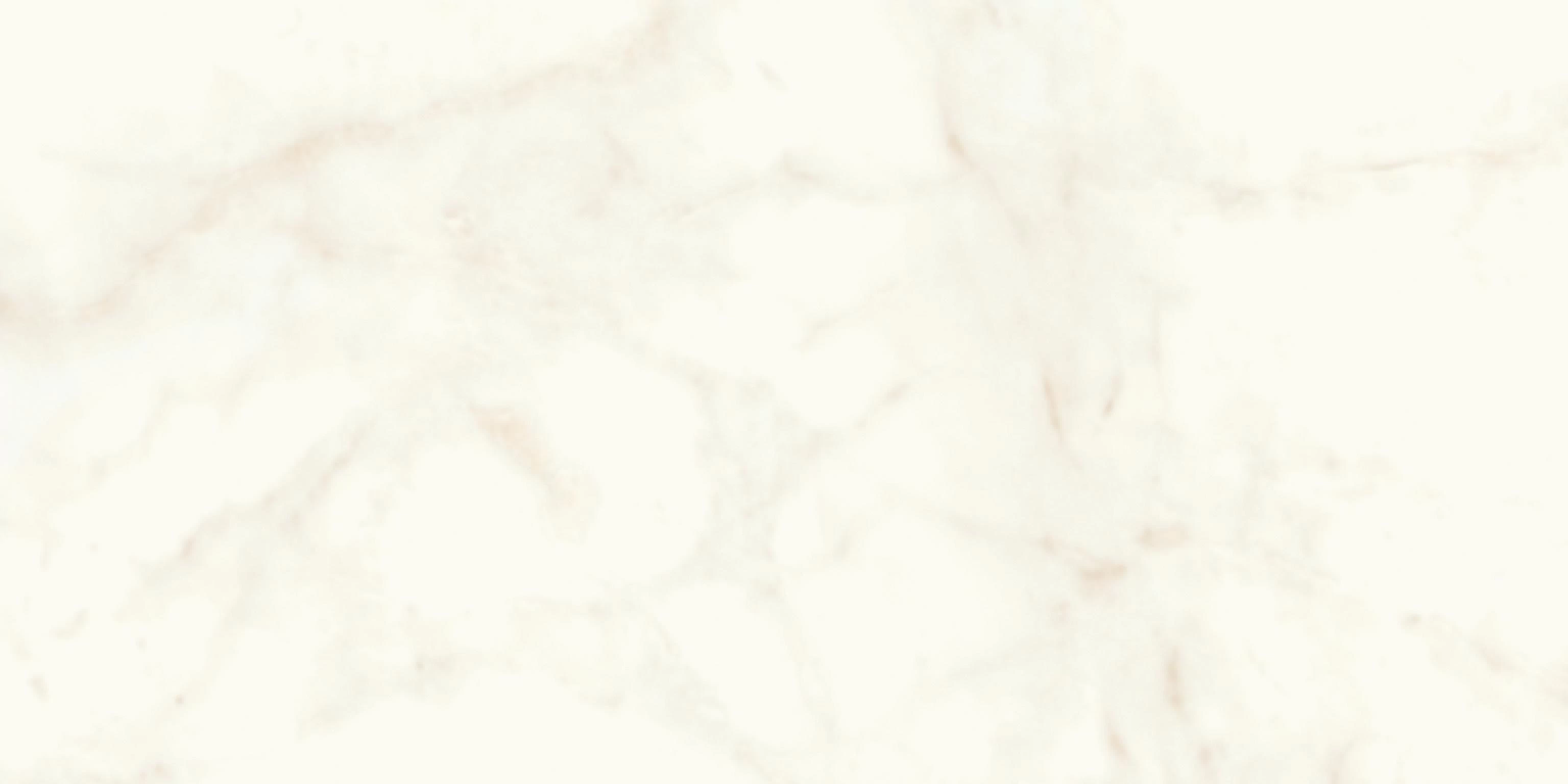 AtlasConcorde MarvelShine CalacattaDelicato 60x120 Polished A4Q0 1