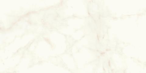 MARVEL Calacatta Delicato 60x120 Lappato