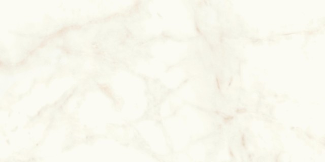 MARVEL Calacatta Delicato 60x120 Lappato