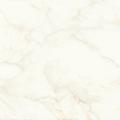 MARVEL Calacatta Delicato 60x60 Matt