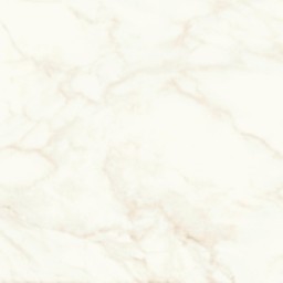 MARVEL Calacatta Delicato 60x60 Matt