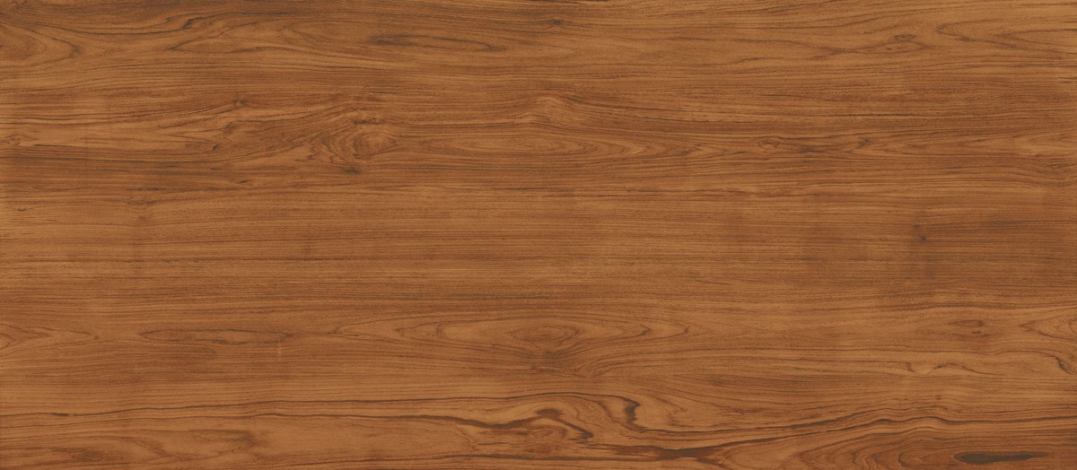 LOG ANTHOLOGY Teak 120x278 - 6mm  