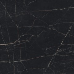 Marvel Black Atlantis 120x120