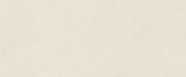 Boost Natural Pro Salt 50x120  