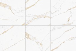 MARBLE VISION Calacatta Caldo 60x60