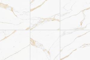 MARBLE VISION Calacatta Caldo 60x60