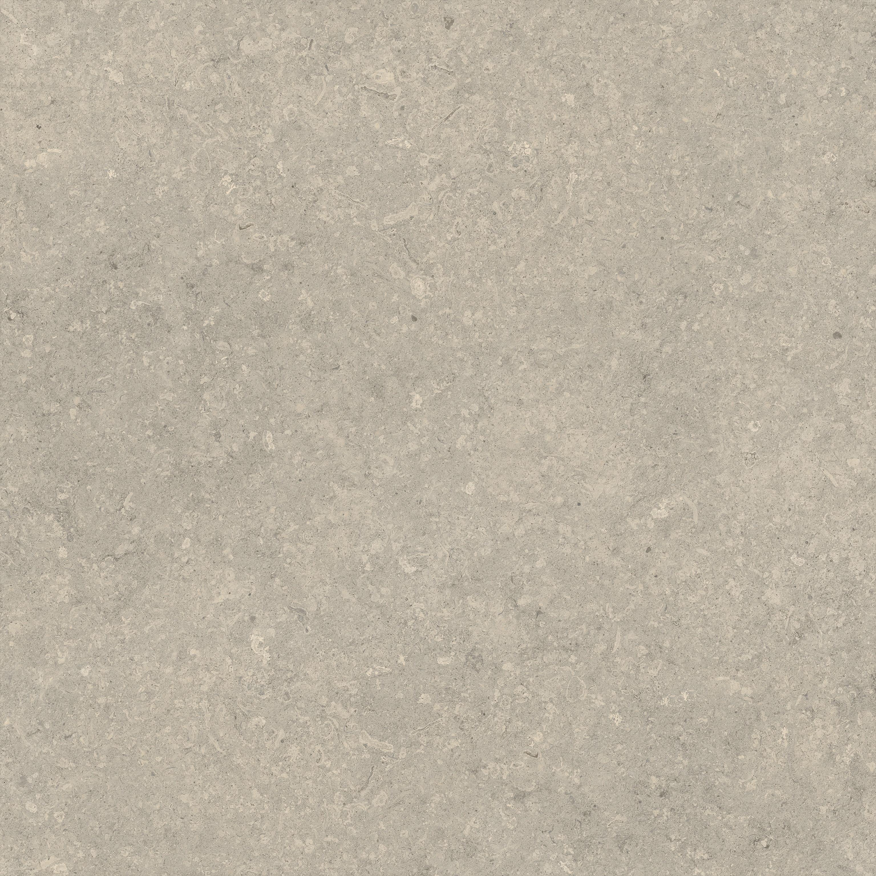 Nyra Utopia Comet 120x120 Matte Sensitech, Light gray, 120x120