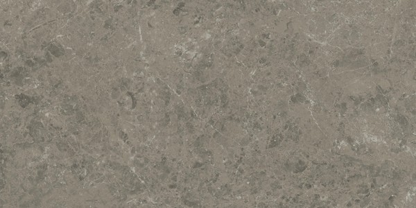 Marvel Meraviglia Grigio Elegante 60x120  