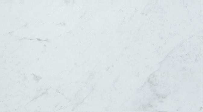 AtlasConcordeUSA Eon Carrara 31,5x57 Glossy 600010000948