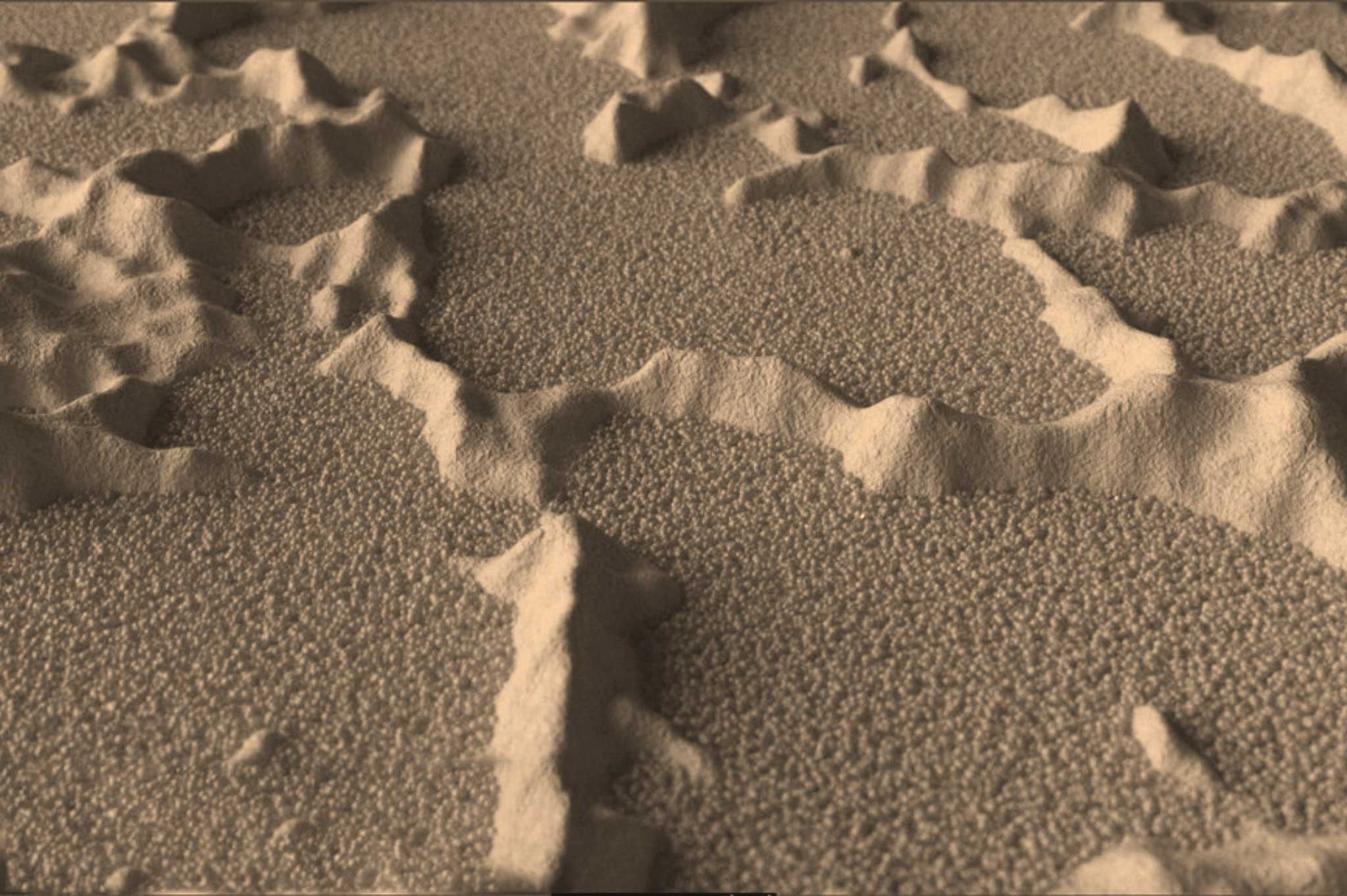 Burger menù_Sensitech_technologies