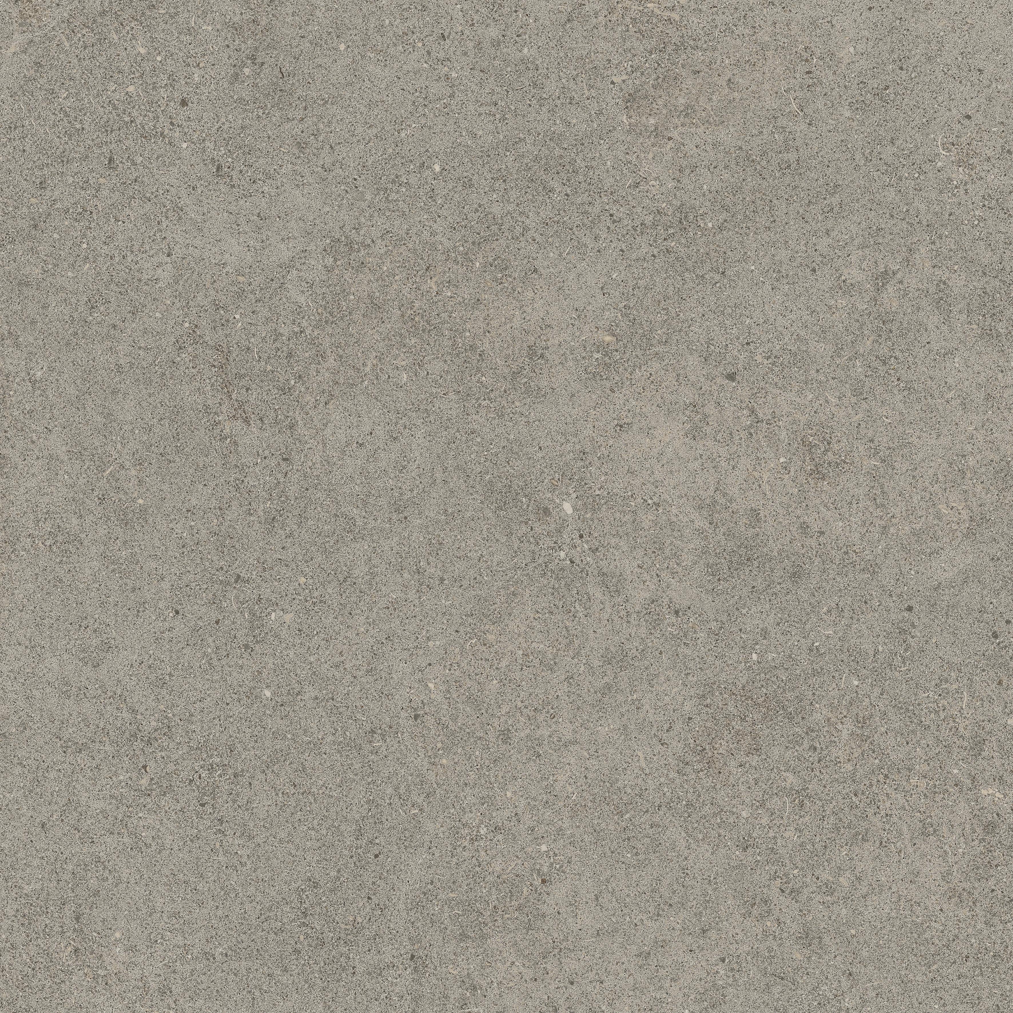 Forte dei Marmi Rock Lunar Grey 60x60 Структурированный, Серый, 60x60