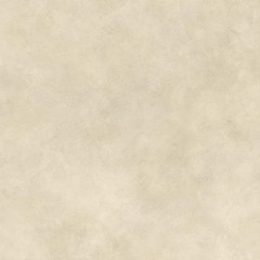 Boost Expression Camel 120x120 Grip 