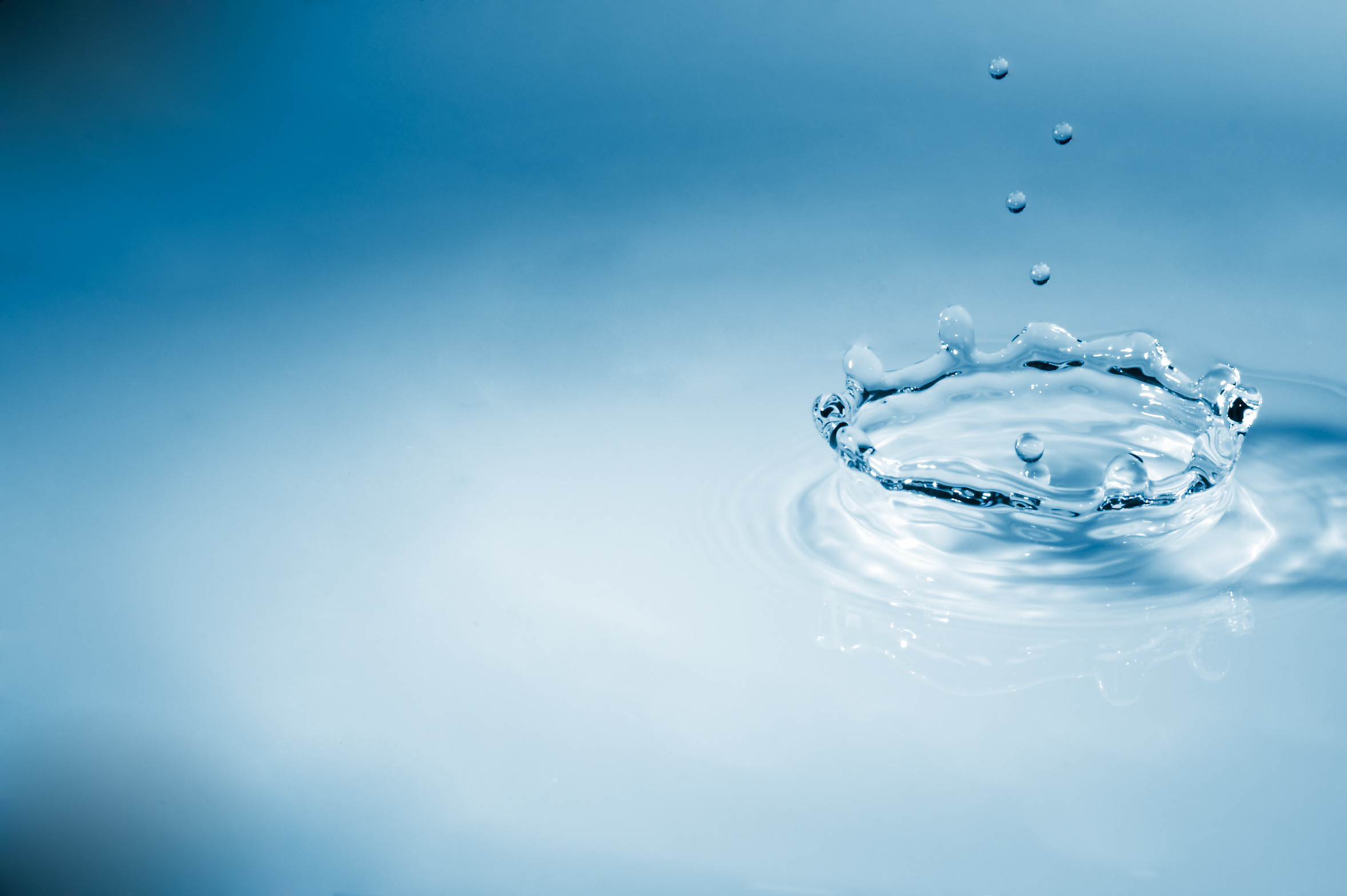 shutterstock_7055185