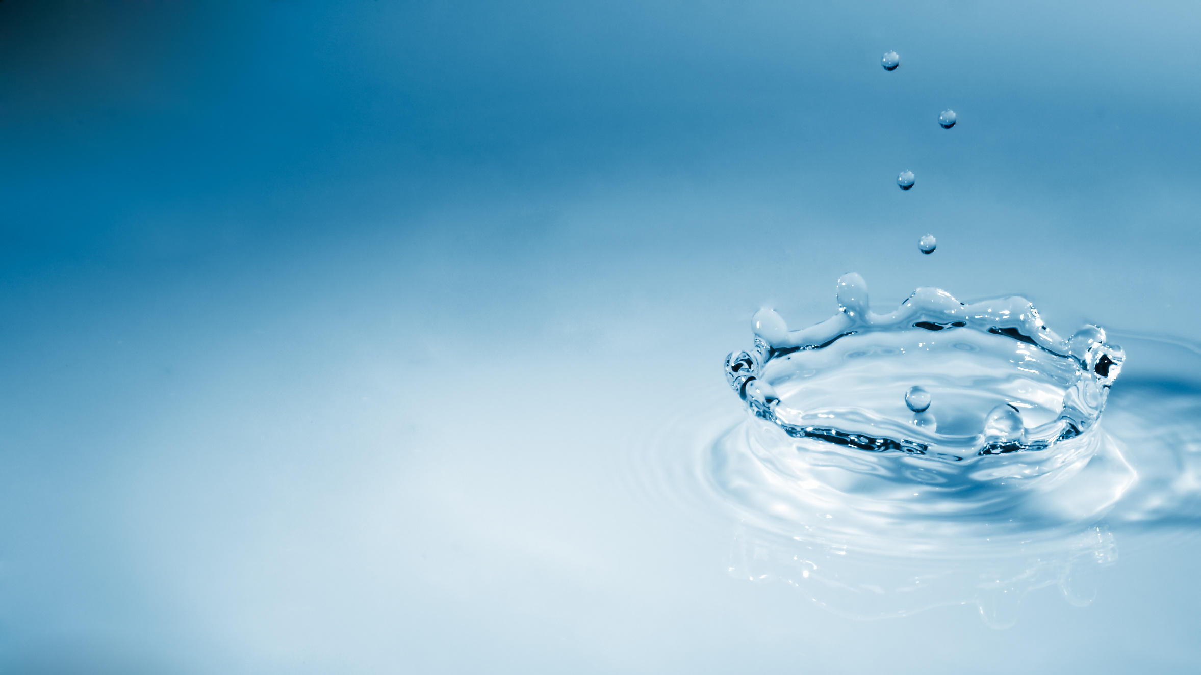 shutterstock_7055185