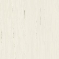 Marvel Bianco Dolomite 120x120 Lappato