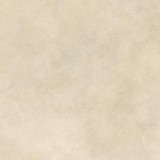 Boost Expression Camel 80x80  