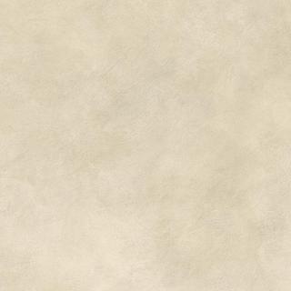 Boost Expression Camel 80x80  