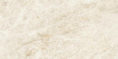 Marvel Epic Taj Mahal White 60x120  