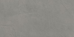 PRISM Fog 30x60 Silk  