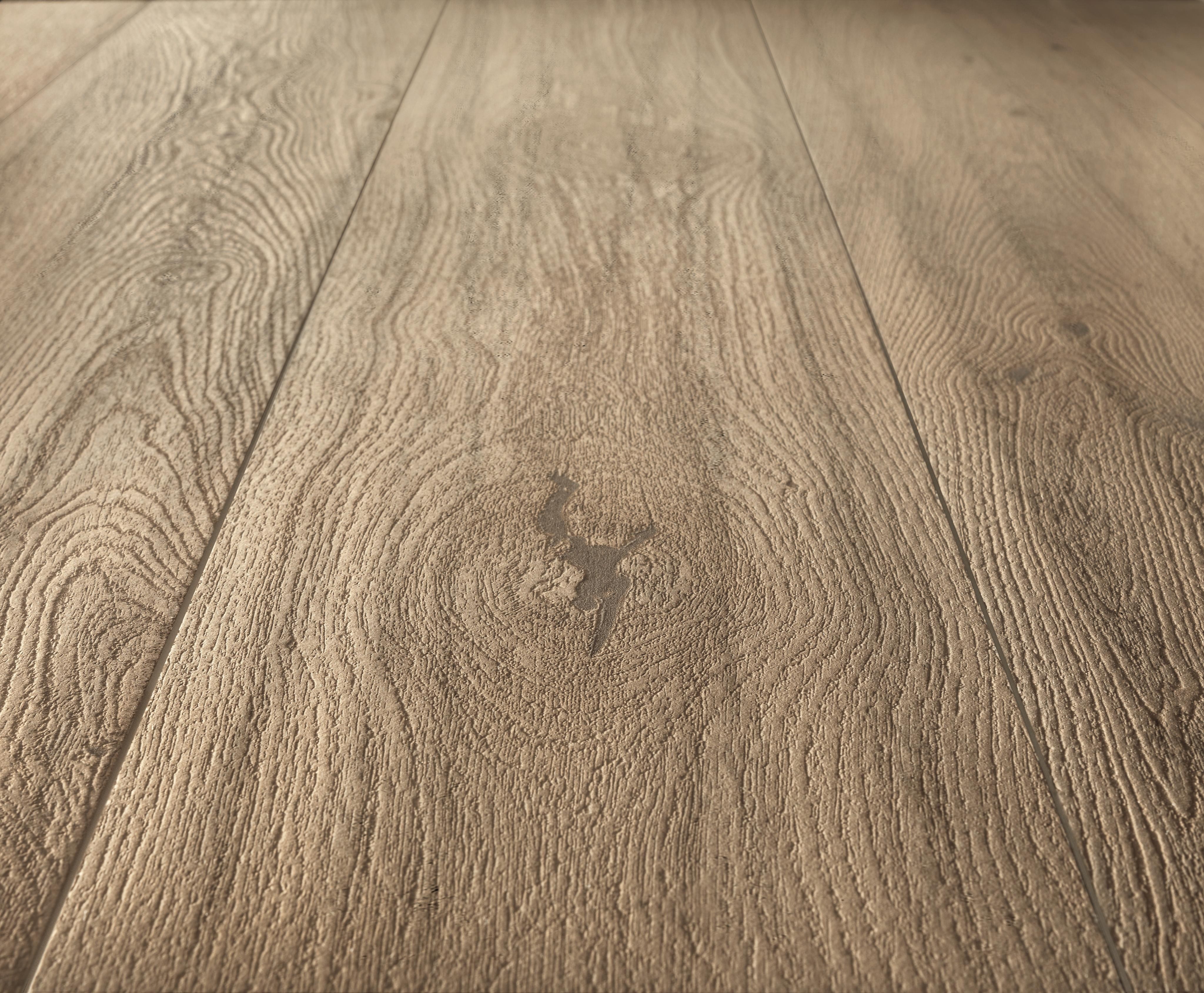 AtlasConcorde_Log_008_09_MoonOakForest_Macro