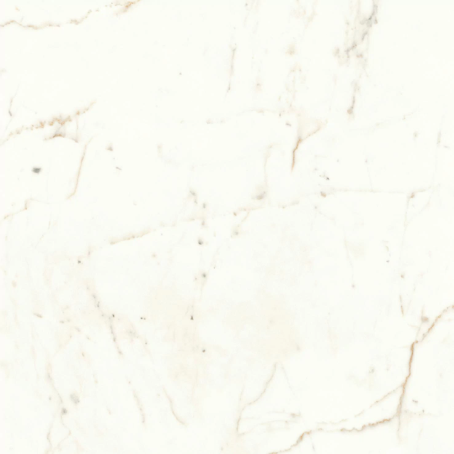 AtlasConcorde MarvelShine CalacattaPrestigio 60x60 Silk A5TD 1