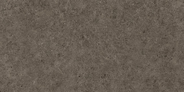 BOOST STONE Tobacco 60x120  