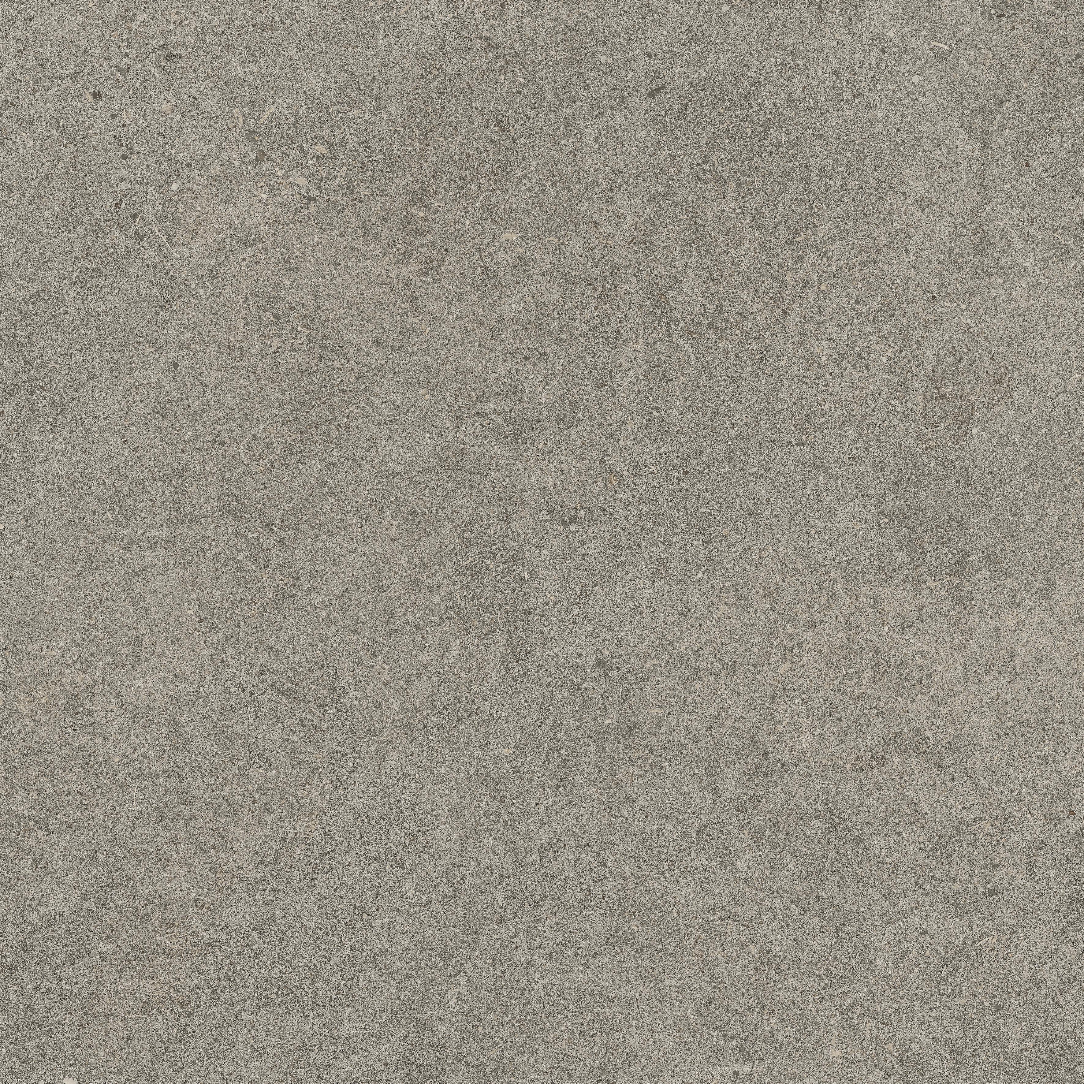 Forte dei Marmi Rock Lunar Grey 60x60 Структурированный, Серый, 60x60