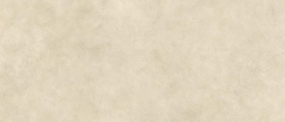 Boost Expression Camel 120x278 - 6mm  