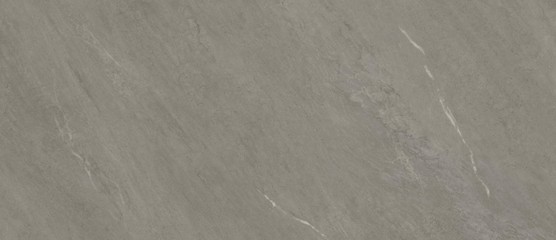 Forte dei Marmi Rock Venaria Grey 120x278
