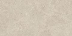 BOOST ICOR Dust 60x120  