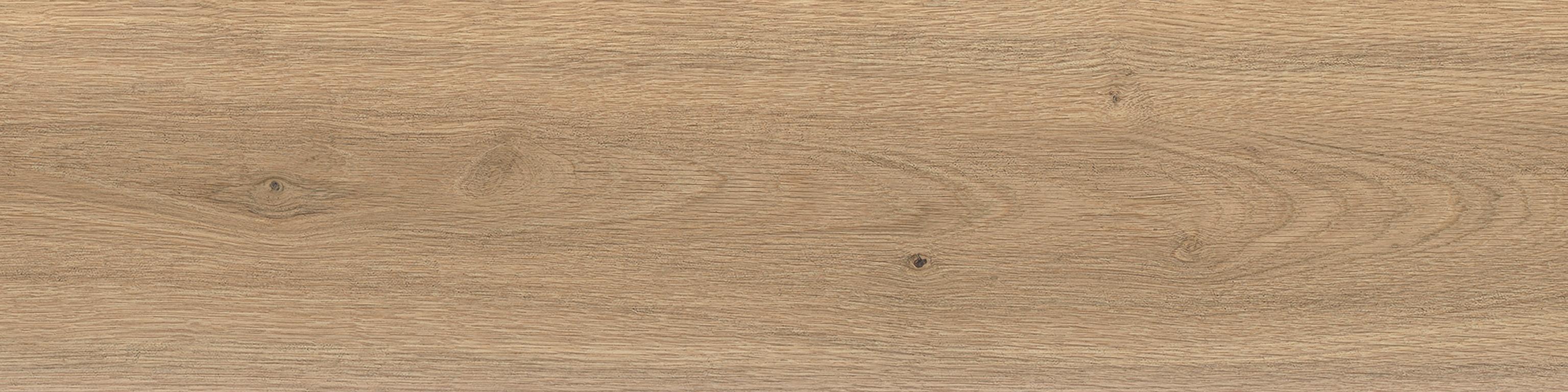 Log Icon Oak 30x120 Matte Sensitech, Jasnobrązowy, 30x120