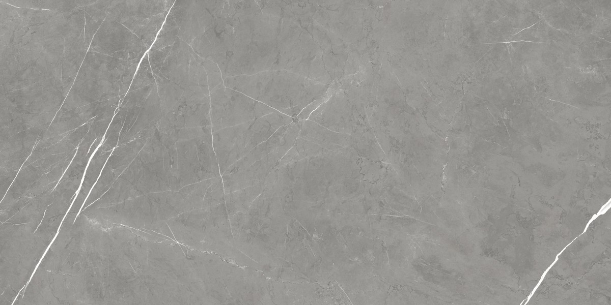 Forte dei Marmi Elegant Grey 60x120