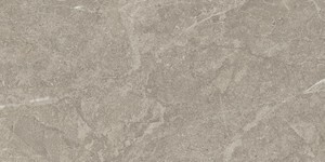 DUOLITH FOSSIL 30x60  