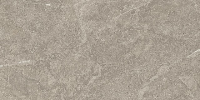 DUOLITH FOSSIL 30x60  
